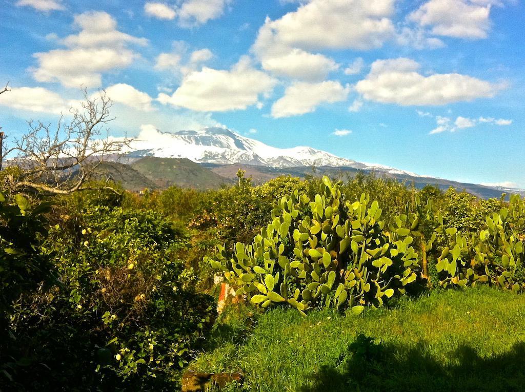 Villa Bonaccorso - Antica E Maestosa Villa Con Piscina Ai Piedi Dell'Etna Viagrande Exterior foto